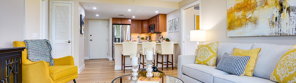 open concept living and dining room